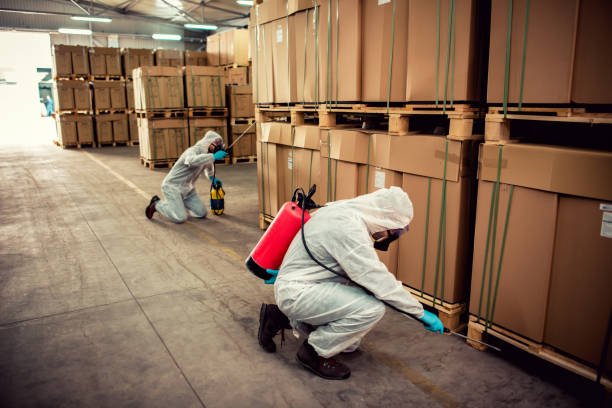 Best Pest Prevention Services  in Caseyvle, IL