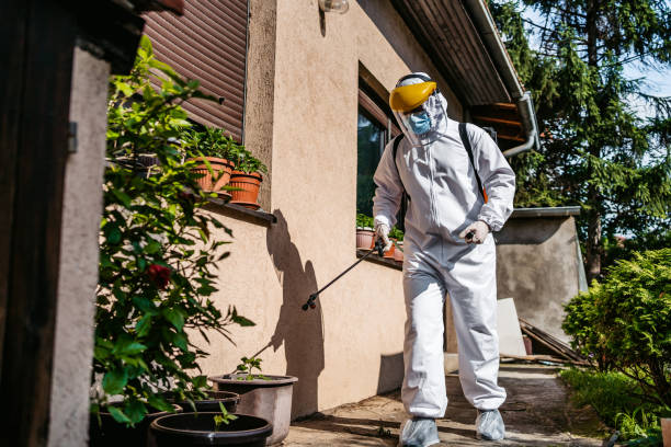 Wildlife Control Services in Caseyville, IL