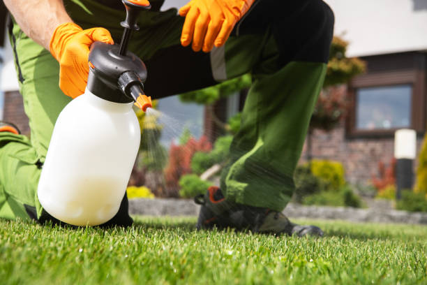 Best Bed Bug Extermination  in Caseyvle, IL