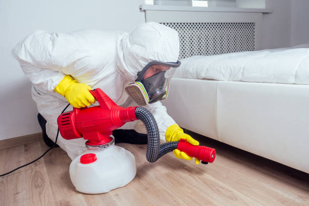 Professional Pest Control in Caseyville, IL