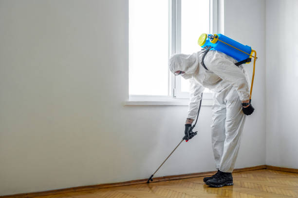 Best Pest Removal Services  in Caseyvle, IL