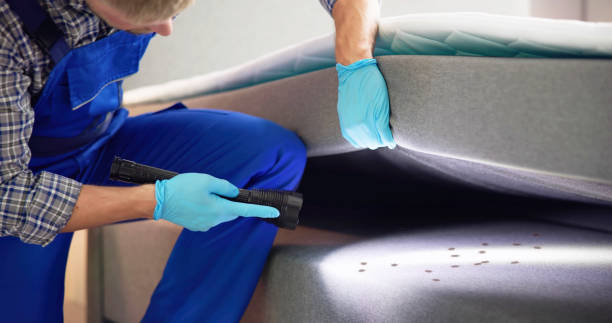Best Best Pest Control Companies  in Caseyvle, IL