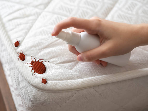 Best Cockroach Control Services  in Caseyvle, IL