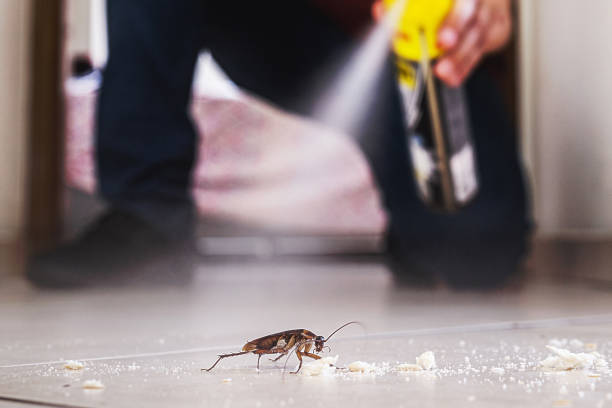 Best Affordable Pest Control Services  in Caseyvle, IL