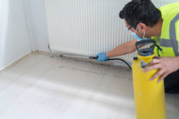 Pest Control Cost in Caseyville, IL