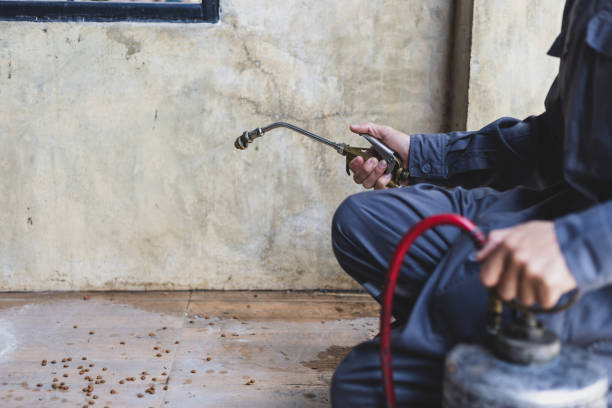 Best Wasp Removal Services  in Caseyvle, IL